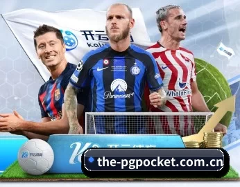 the-pgpocket.com.cn的故事